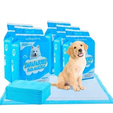 Alaise pour Chien, Alese