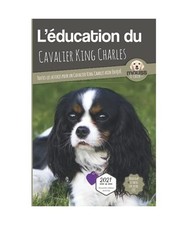 L'ÉDUCATION DU CAVALIER KING