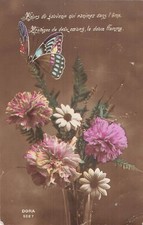 CP VASE FLOWERS BEAUTIFUL BUTTERFLY - 42738