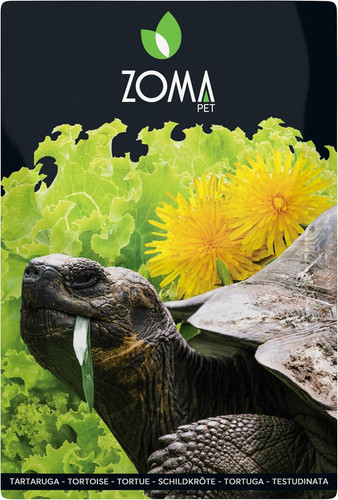 Mix graines pour tortues - graines,