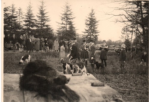 Photographies chasse à - 13,