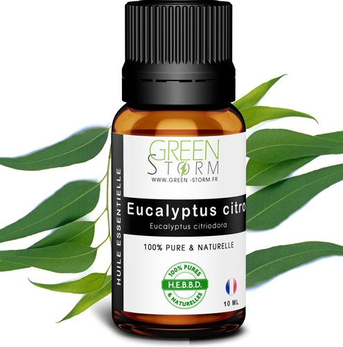 Huile essentielle eucalyptus - huile,