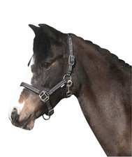 Harnais De Cheval RIO -