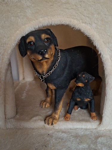 Statuette rottweiler son - rottweiler, et