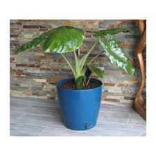 Bac a fleurs rond RIVIERA EVA