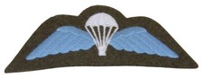 Brevet de parachutiste