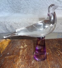 ancienne colombe oiseau en