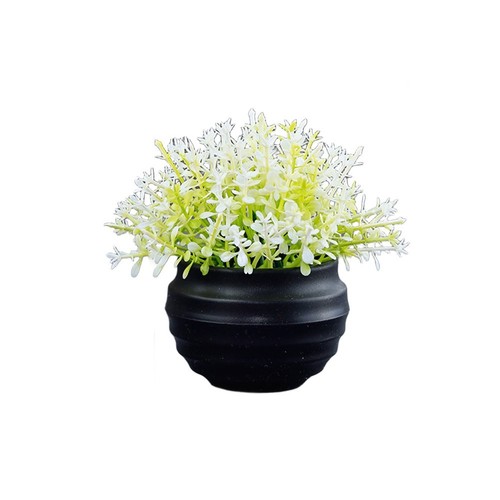 Petite plante fleurs - petite,