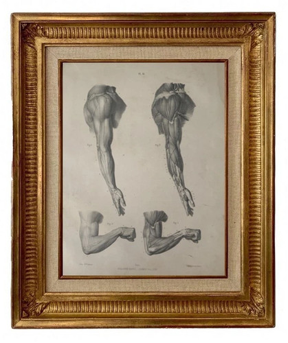 Gravure lithographie xix - gravure,