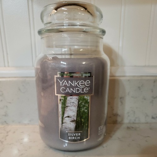 New silver birch yankee - birch,