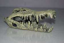 Aquarium Ou Vivarium