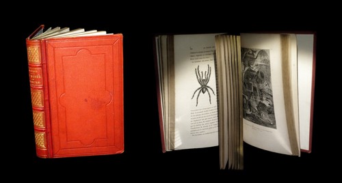 Zoologie entomologie reliure - [zoologie,