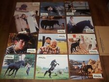 L’ÉTALON NOIR - 1979 - The