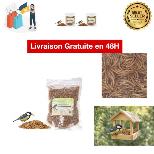 Vers farine séchés pour - séchés,