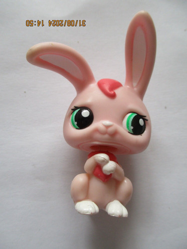 Petshop lapin garenne - lapin, de