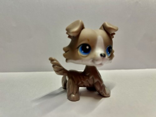 Lps little petshop rare - rare-, #67-