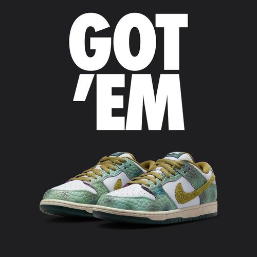 Nike dunk low pro alexis - pro, x