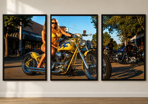 Photo triptyque moto custom - a4,