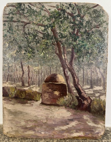 Sous bois ensoleillé huile - ensoleillé,