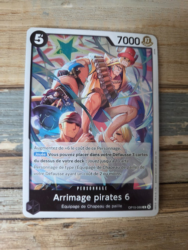 Carte one piece arrimage - piece,