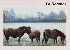 1 CHALAMONT ETANG DE