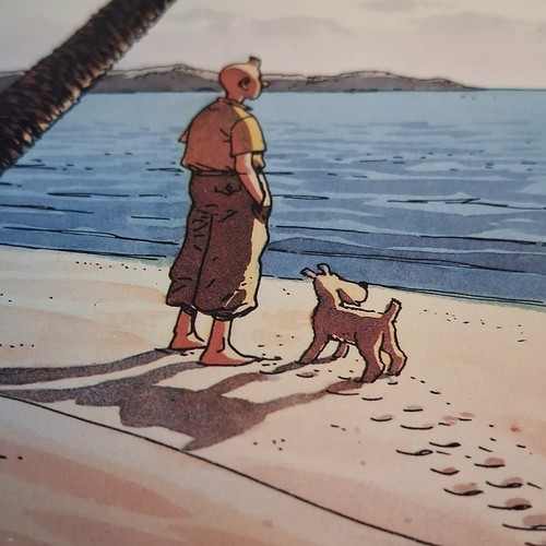 Tintin milou plage dessin - plage,