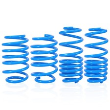 maXpeedingrods Ressort court