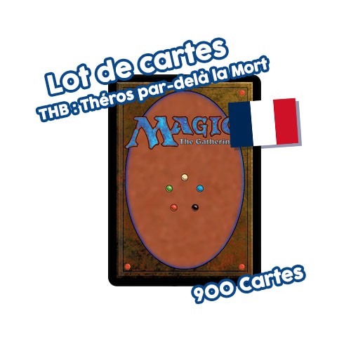 Lot 900 cartes magic the - de,