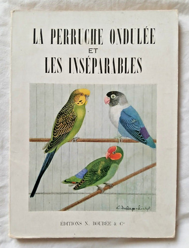 Perruche ondulée les - la, et
