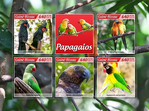 Parrots mnh stamps 2019 - parrots,