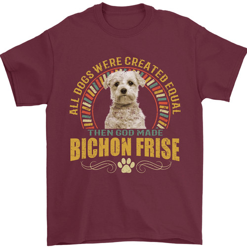 Chien bichon frisé - chien,