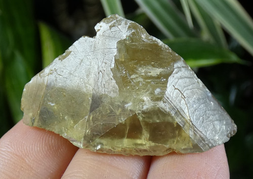 Baryte miel saint babel 4x2cm - miel,