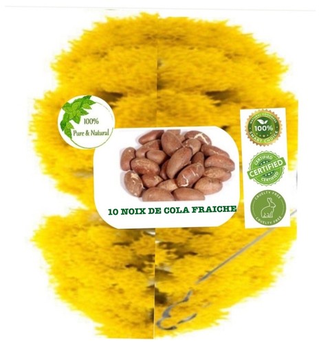 Noix petit cola fraiche - noix,