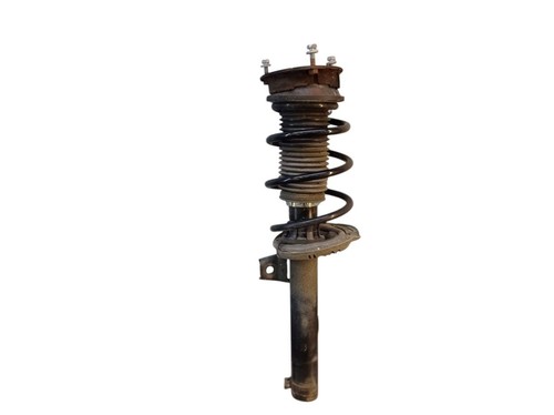 Strut shock absorber - strut,