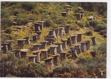 Carte Postale CPM Cévennes -