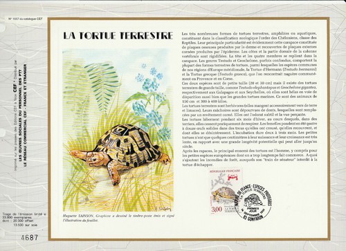 Feuillet cef nature - *,