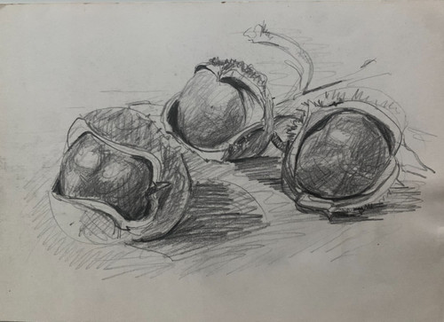 Elisabeth hahn - elisabeth, (1924-2021)