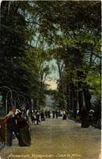 CPA AK AMSTERDAM Papagaaien -