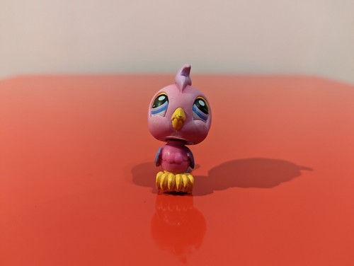 Littlest petshop cacatoès - littlest,