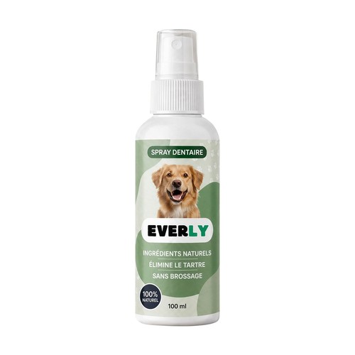 Everly spray dentaire - everly,