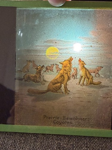 Plaque verre lanterne - plaque,