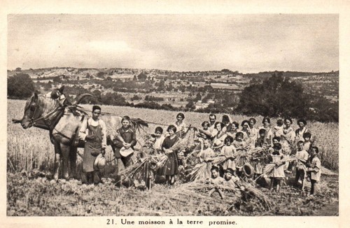 Cpa agricole religieuse - religieuse,