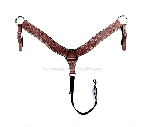 Pectorale selle américain - pectorale,
