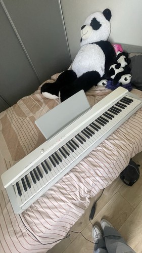 Piano numérique casio privia - numérique,