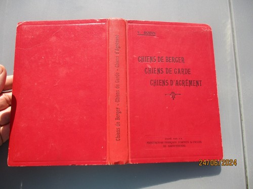 Chien berger garde - chien,
