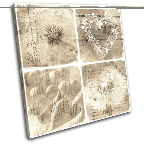Shabby chic floral - shabby, type