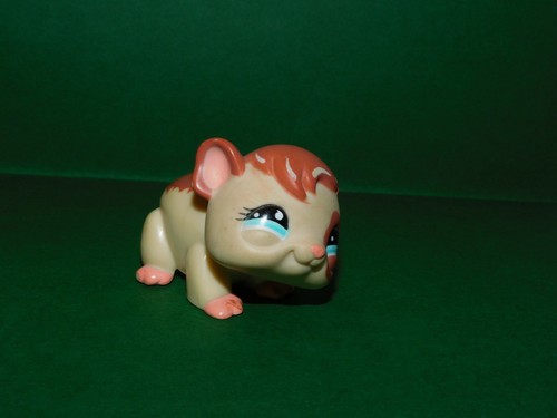 Littlest pet shop cochon d - -,