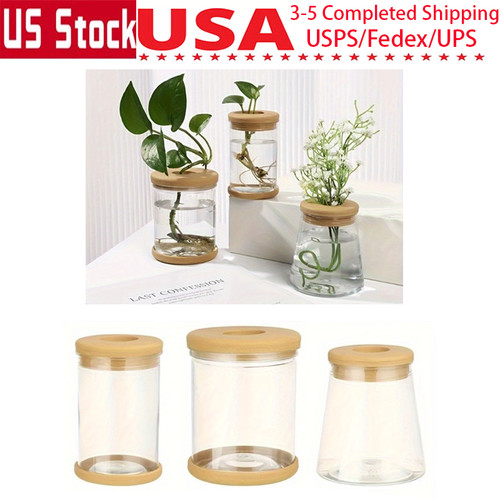 Pcs terrarium flower planter - terrarium,