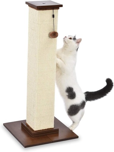 Arbre chat 90cm griffoir - arbre,
