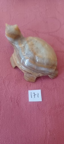Très belle petite tortue - , en